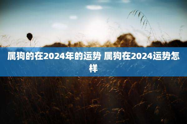 属狗的在2024年的运势 属狗在2024运势怎样