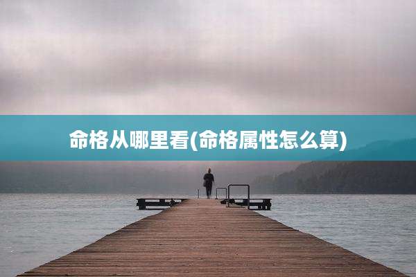 命格从哪里看(命格属性怎么算)