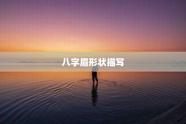 八字眉形状描写