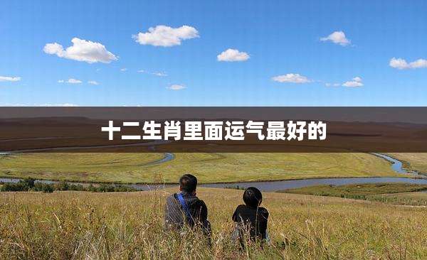 十二生肖里面运气最好的