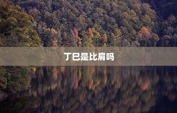 丁巳是比肩吗