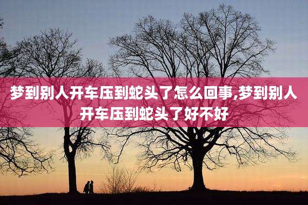 梦到别人开车压到蛇头了怎么回事,梦到别人开车压到蛇头了好不好