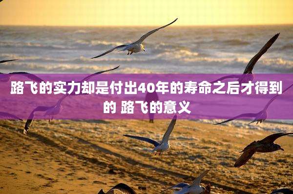 路飞的实力却是付出40年的寿命之后才得到的 路飞的意义