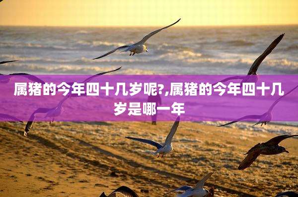 属猪的今年四十几岁呢?,属猪的今年四十几岁是哪一年