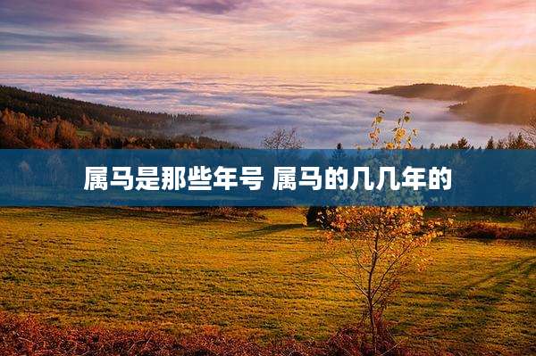 属马是那些年号 属马的几几年的