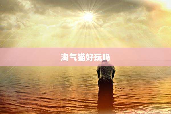 淘气猫好玩吗