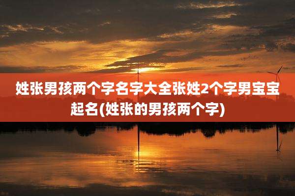 姓张男孩两个字名字大全张姓2个字男宝宝起名(姓张的男孩两个字)