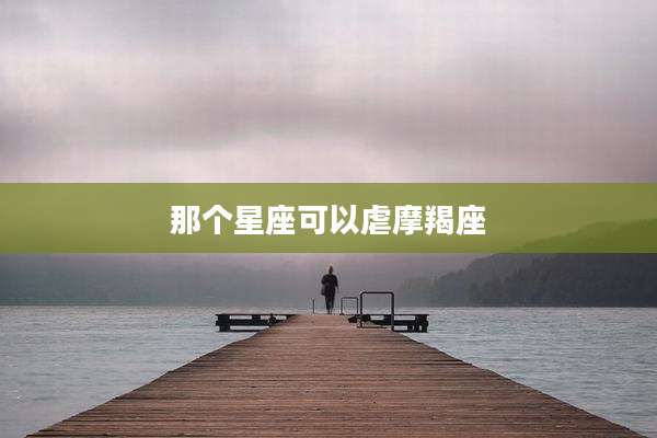 那个星座可以虐摩羯座