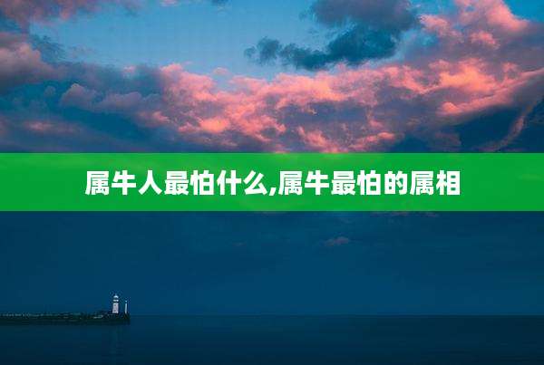 属牛人最怕什么,属牛最怕的属相