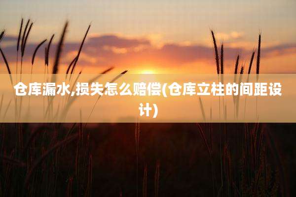仓库漏水,损失怎么赔偿(仓库立柱的间距设计)