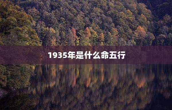 1935年是什么命五行