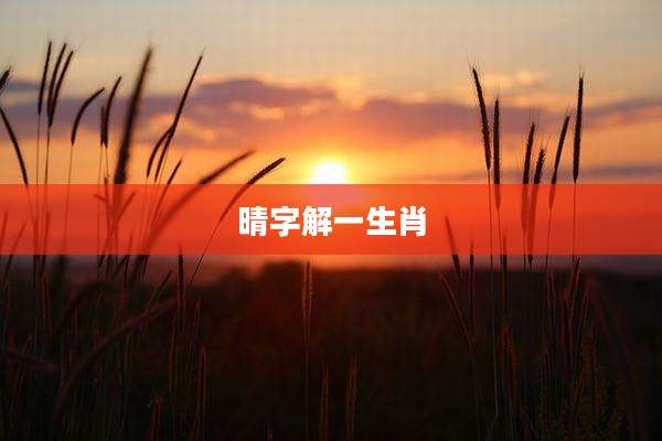 晴字解一生肖