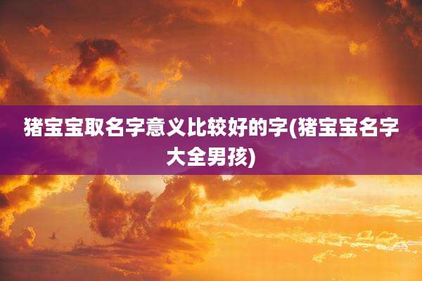 猪宝宝取名字意义比较好的字(猪宝宝名字大全男孩)
