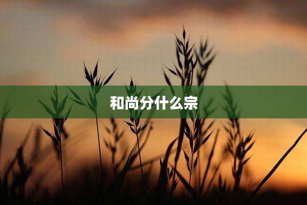 和尚分什么宗
