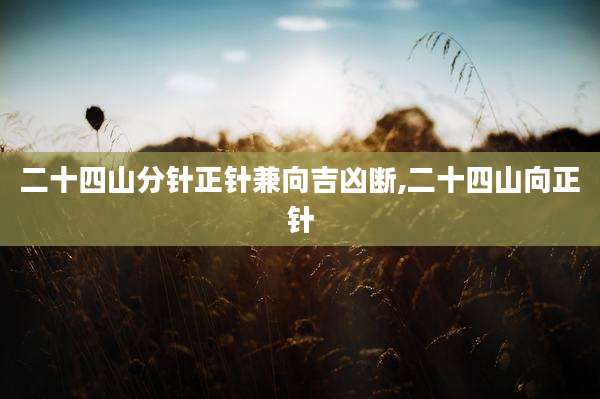 二十四山分针正针兼向吉凶断,二十四山向正针