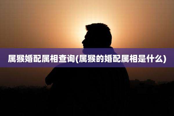属猴婚配属相查询(属猴的婚配属相是什么)
