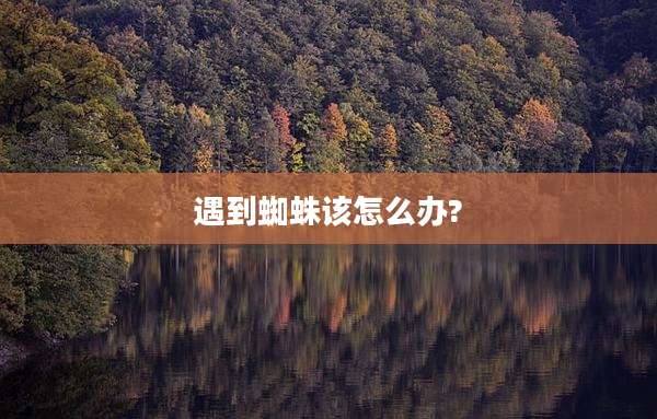 遇到蜘蛛该怎么办?