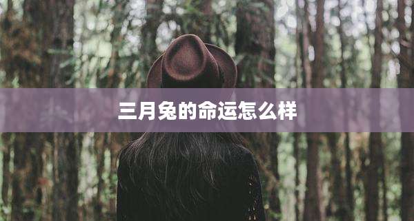 三月兔的命运怎么样