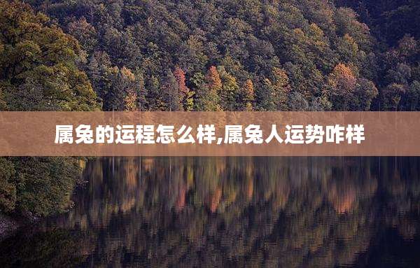 属兔的运程怎么样,属兔人运势咋样