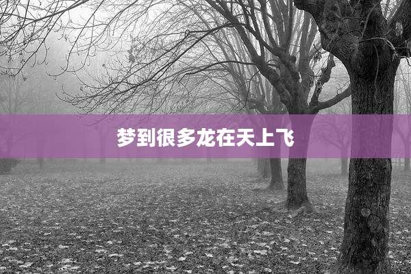 梦到很多龙在天上飞
