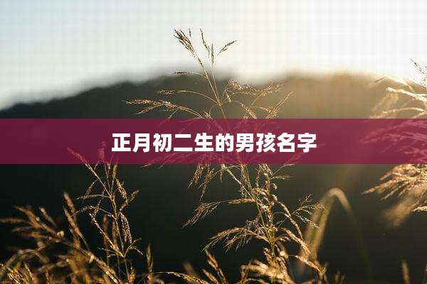 正月初二生的男孩名字