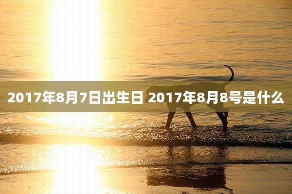 2017年8月7日出生日 2017年8月8号是什么