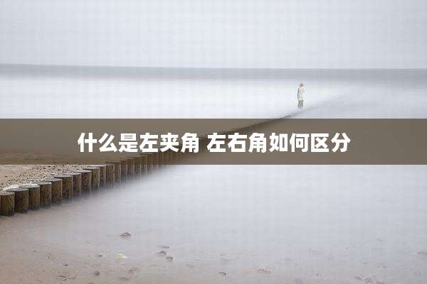 什么是左夹角 左右角如何区分