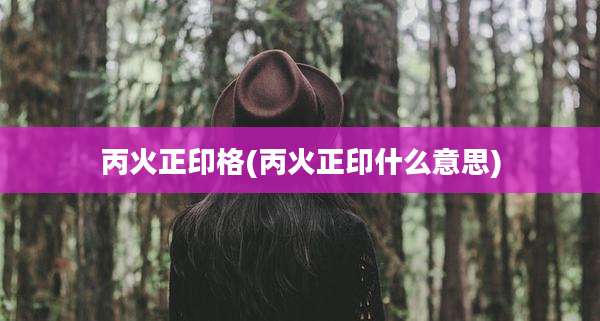 丙火正印格(丙火正印什么意思)