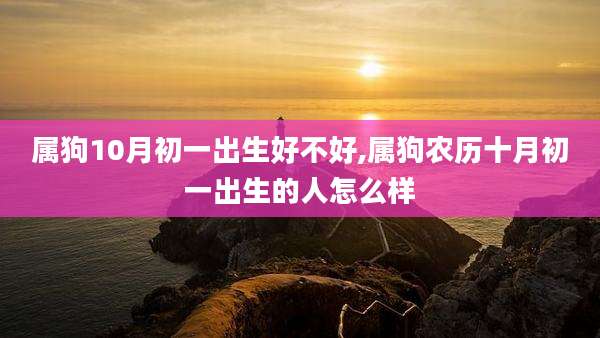 属狗10月初一出生好不好,属狗农历十月初一出生的人怎么样