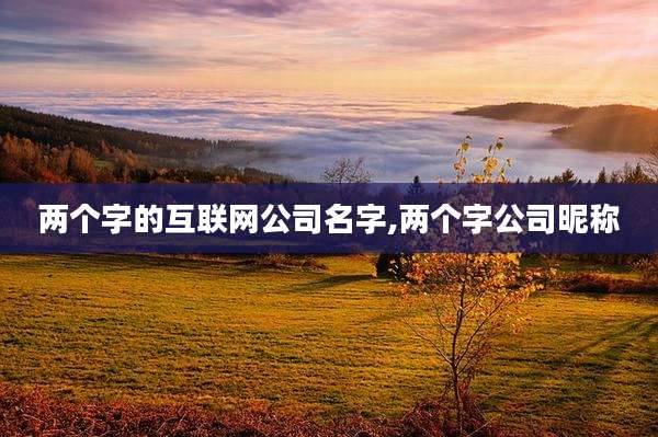 两个字的互联网公司名字,两个字公司昵称