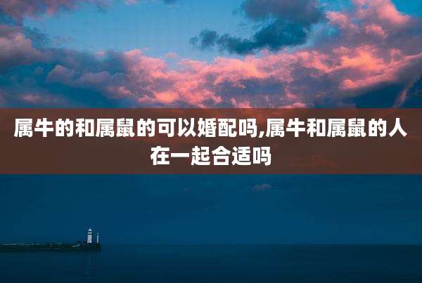 属牛的和属鼠的可以婚配吗,属牛和属鼠的人在一起合适吗