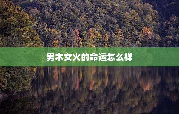 男木女火的命运怎么样