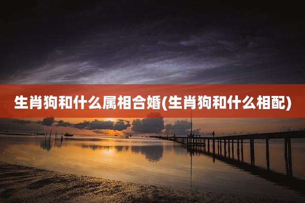 生肖狗和什么属相合婚(生肖狗和什么相配)