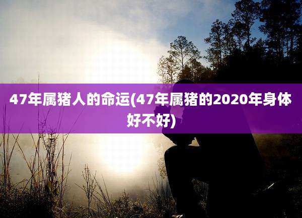 47年属猪人的命运(47年属猪的2020年身体好不好)