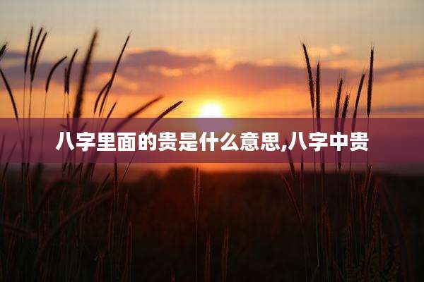 八字里面的贵是什么意思,八字中贵