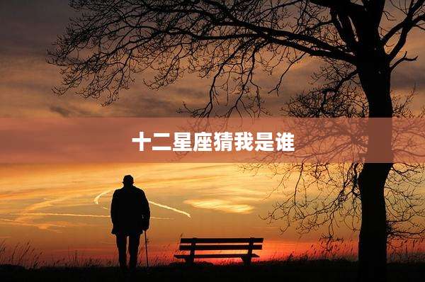 十二星座猜我是谁