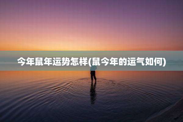 今年鼠年运势怎样(鼠今年的运气如何)