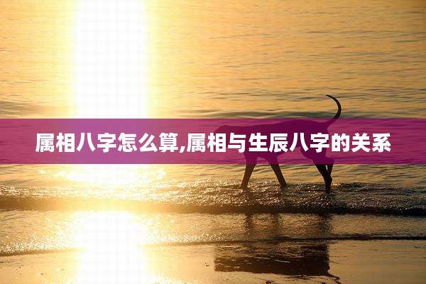 属相八字怎么算,属相与生辰八字的关系