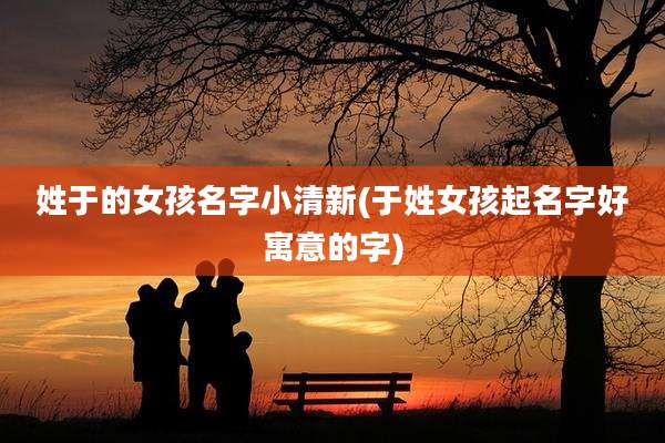 姓于的女孩名字小清新(于姓女孩起名字好寓意的字)