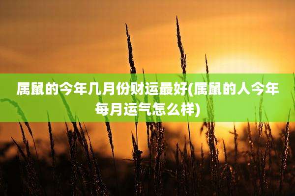 属鼠的今年几月份财运最好(属鼠的人今年每月运气怎么样)