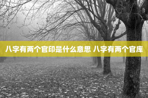 八字有两个官印是什么意思 八字有两个官库