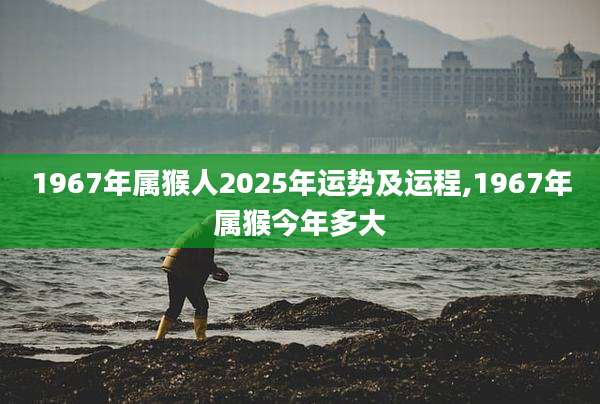 1967年属猴人2025年运势及运程,1967年属猴今年多大