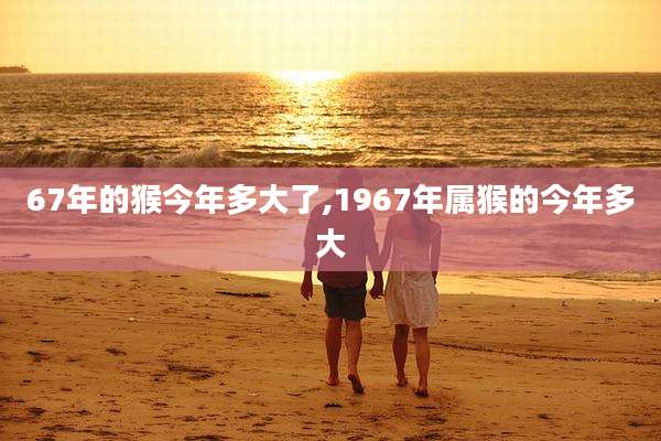 67年的猴今年多大了,1967年属猴的今年多大