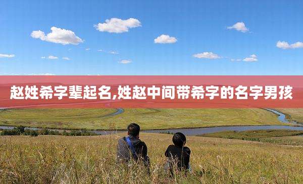 赵姓希字辈起名,姓赵中间带希字的名字男孩