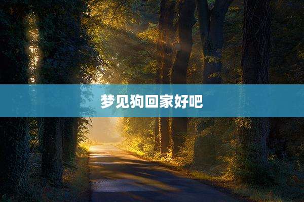 梦见狗回家好吧