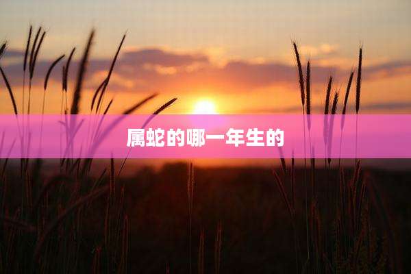 属蛇的哪一年生的