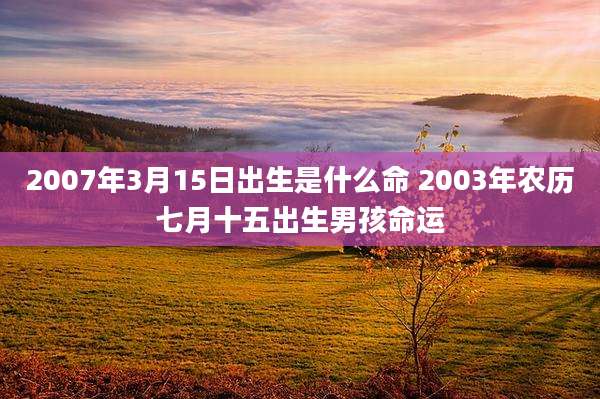 2007年3月15日出生是什么命 2003年农历七月十五出生男孩命运