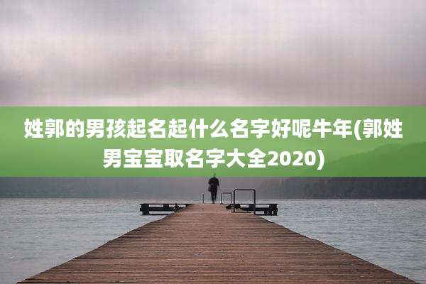 姓郭的男孩起名起什么名字好呢牛年(郭姓男宝宝取名字大全2020)