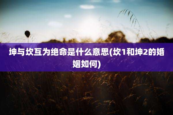 坤与坎互为绝命是什么意思(坎1和坤2的婚姻如何)