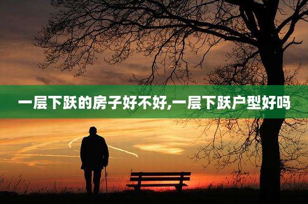 一层下跃的房子好不好,一层下跃户型好吗